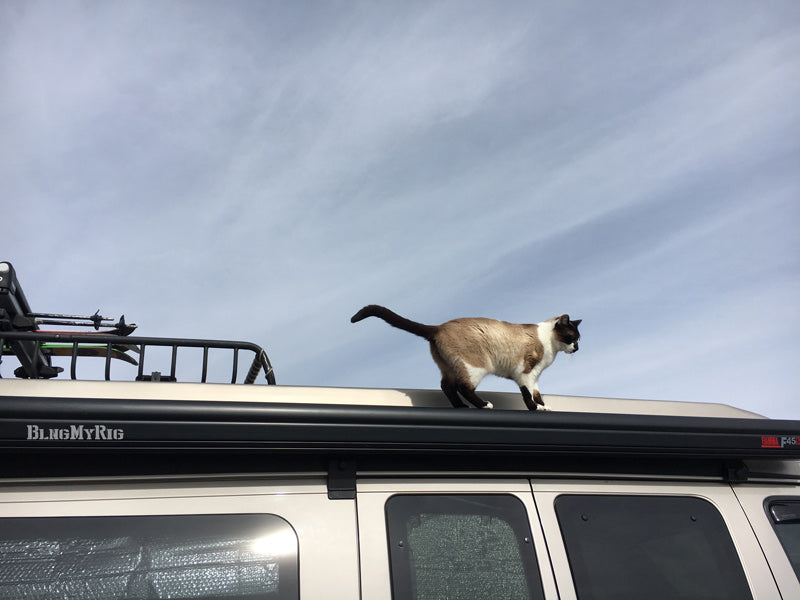Fiamma Awnings and Accessories
